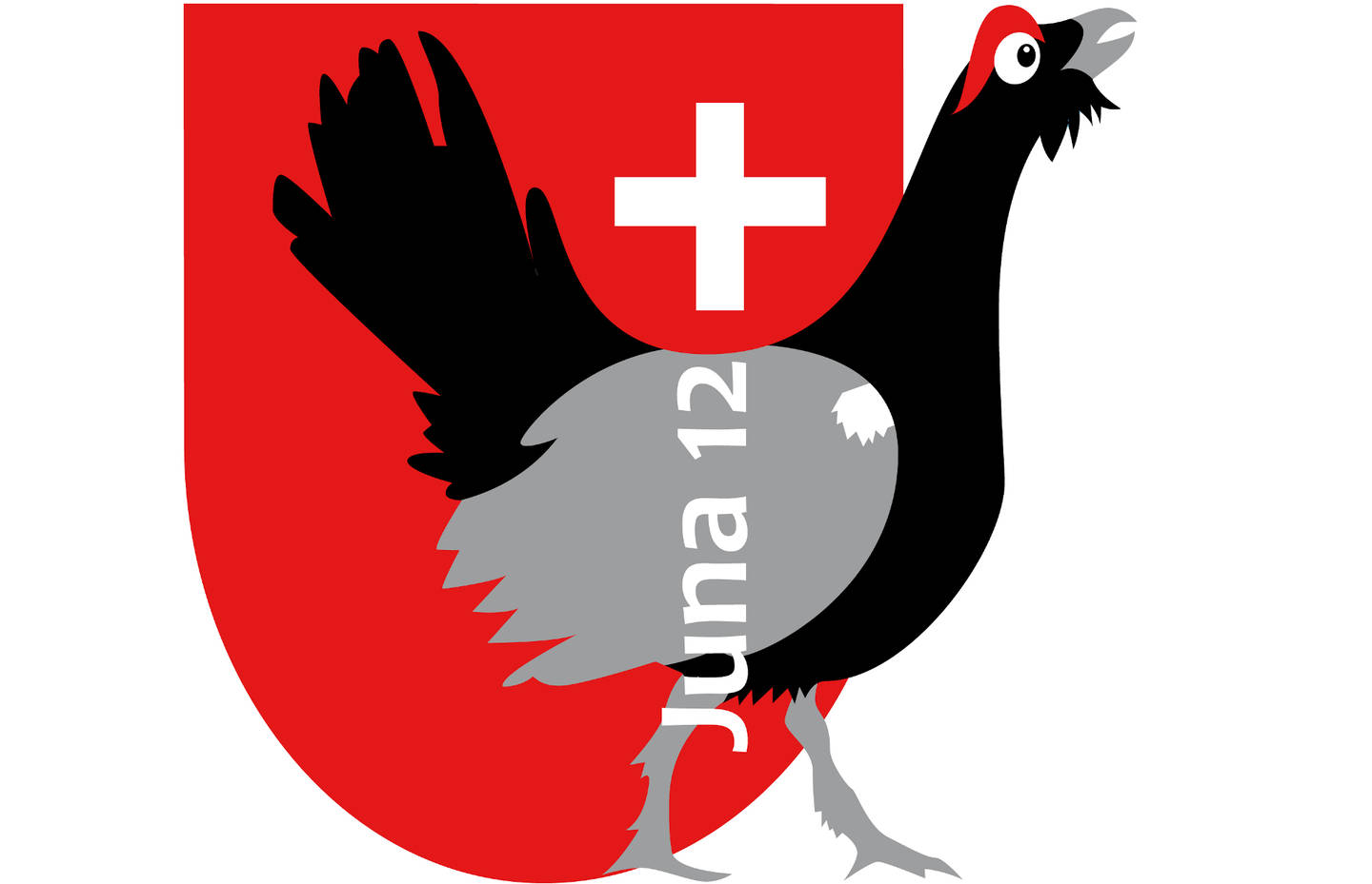 Logo Juna 12+ Kanton Schwyz